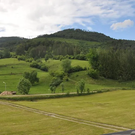 Mostheuriger Steyrdurchbruchalm Leonstein Exterior photo
