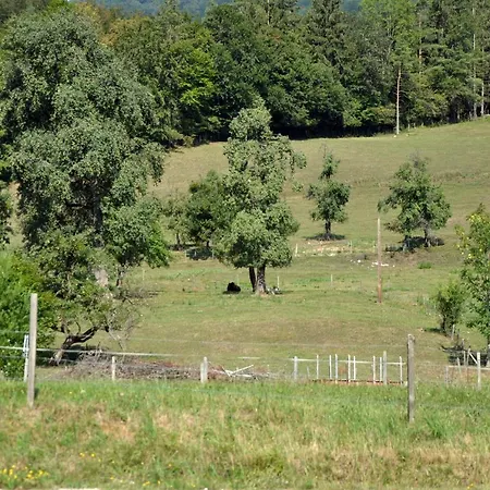 Mostheuriger Steyrdurchbruchalm Leonstein Exterior photo