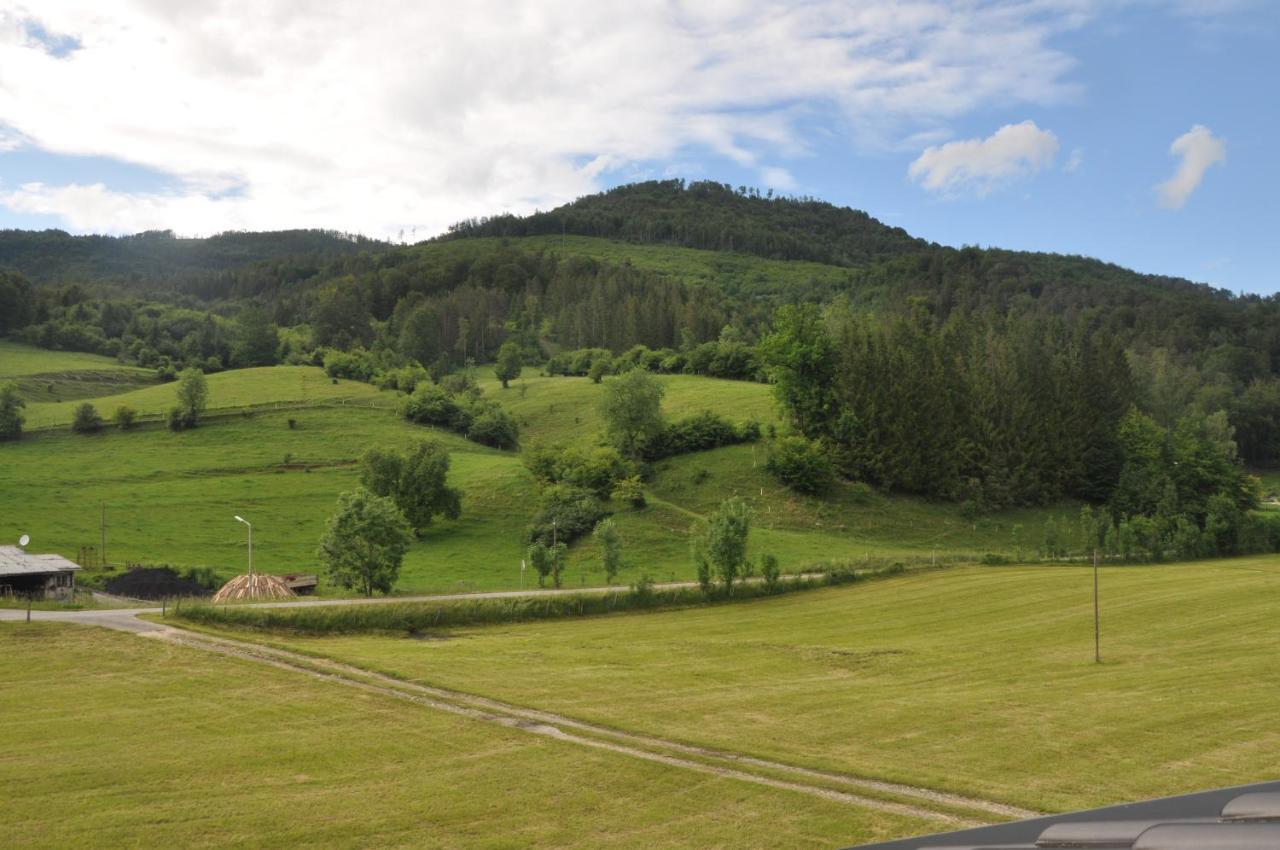 Mostheuriger Steyrdurchbruchalm *