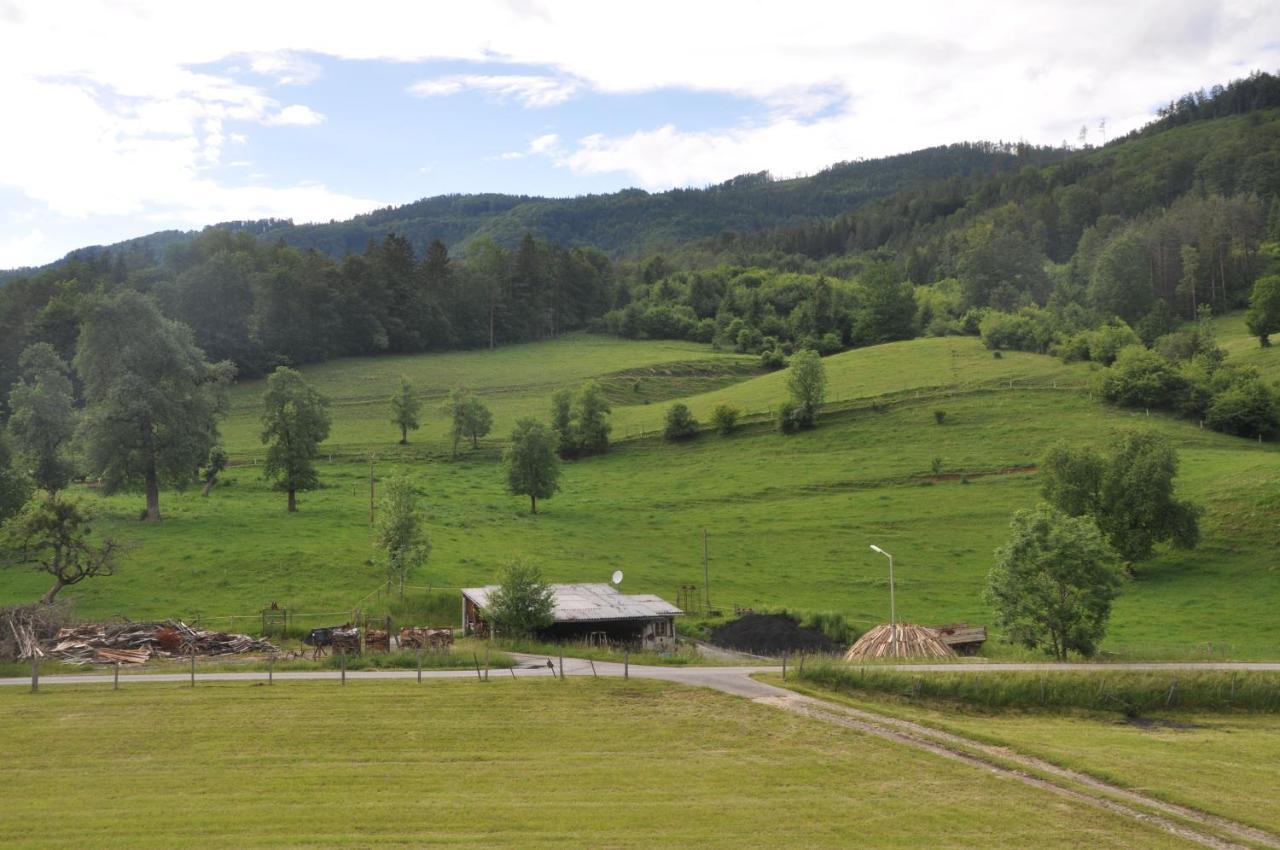 Mostheuriger Steyrdurchbruchalm