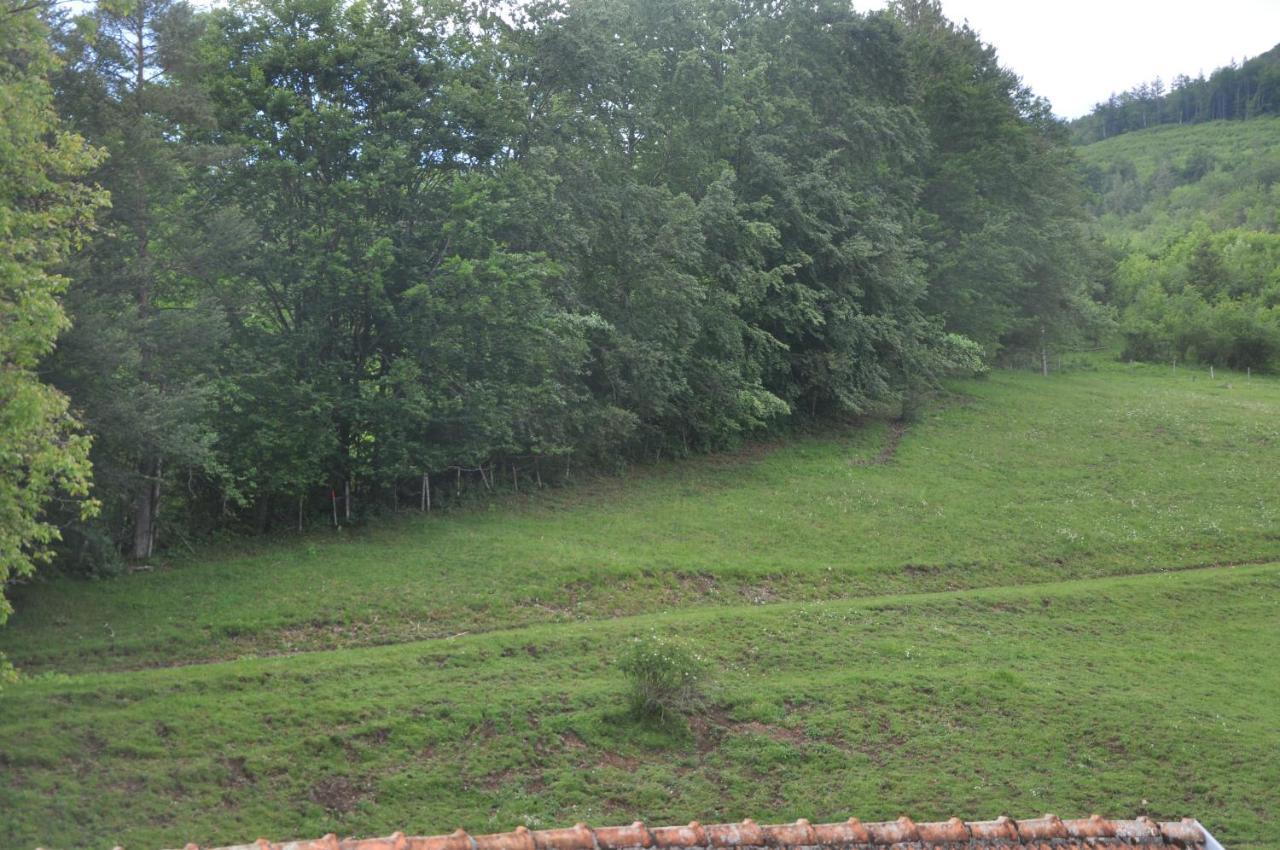 Mostheuriger Steyrdurchbruchalm Apartmán Leonstein