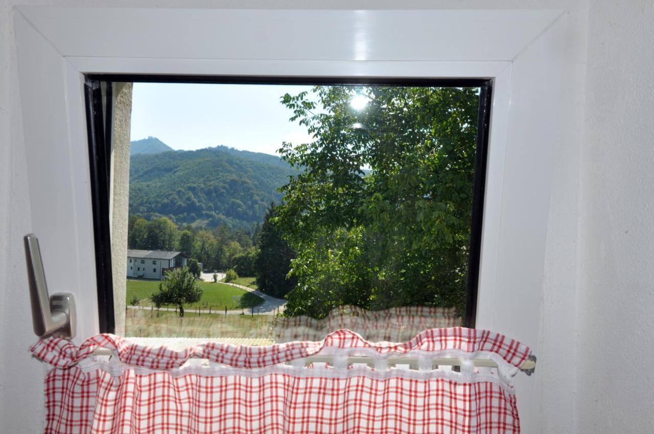 Mostheuriger Steyrdurchbruchalm Apartment Leonstein