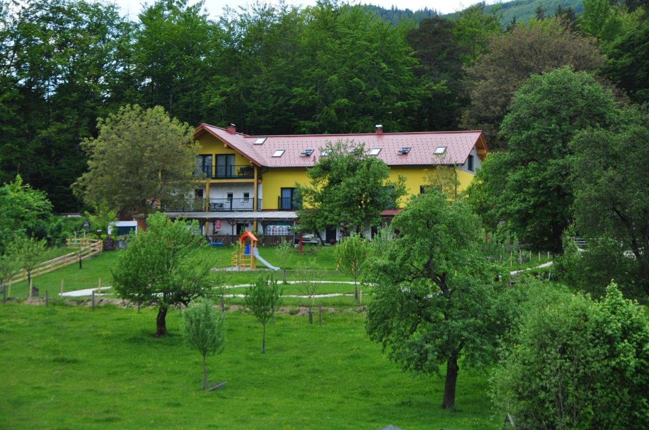 Mostheuriger Steyrdurchbruchalm *